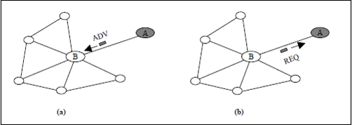 spin-1