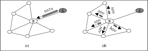 spin-2