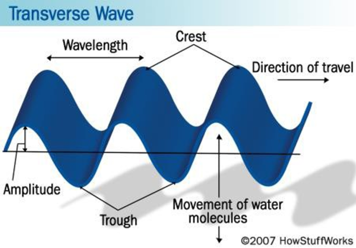 transverse-wave